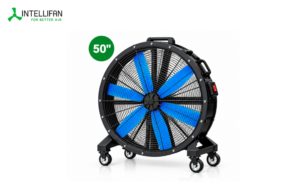 50 Inch Air Circulator / Floor Fan by INTELLIFAN