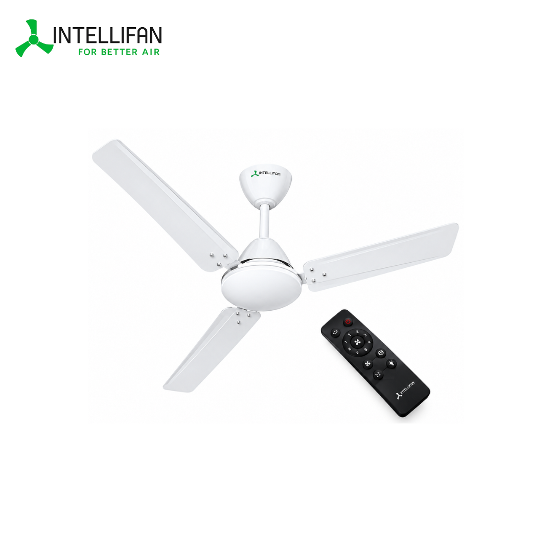 Energy Efficient Modern BLDC Ceiling Fan